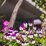 In With Balcony, Air Conditioning, Wifi, Washing Machine * Lopar
